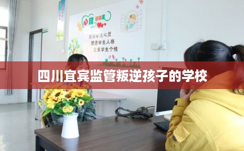 四川宜宾监管叛逆孩子的学校 四川宜宾监管叛逆孩子的学校
