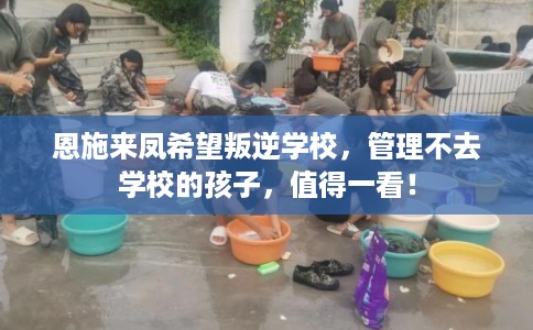 恩施来凤希望叛逆学校，管理不去学校的孩子，值得一看！