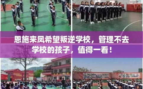 恩施来凤希望叛逆学校，管理不去学校的孩子，值得一看！