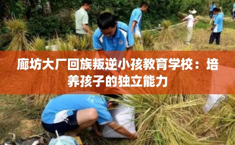 廊坊大厂回族叛逆小孩教育学校：培养孩子的独立能力