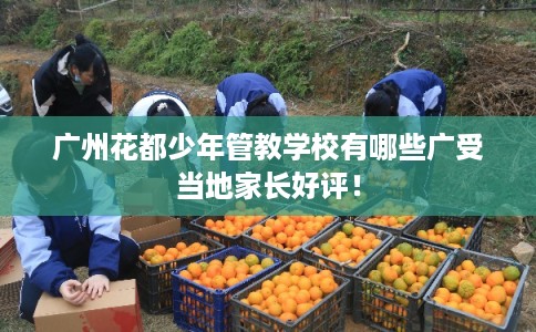 广州花都少年管教学校有哪些广受当地家长好评! 广州花都少年管教学校有哪些广受当地家长好评!