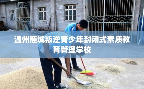 温州鹿城叛逆青少年封闭式素质教育管理学校