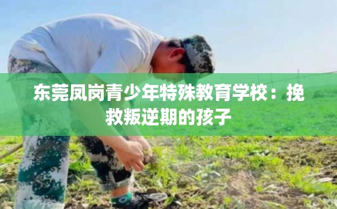 东莞凤岗青少年特殊教育学校：挽救叛逆期的孩子
