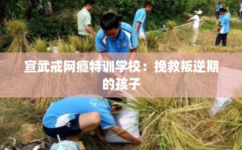 宣武戒网瘾特训学校：挽救叛逆期的孩子