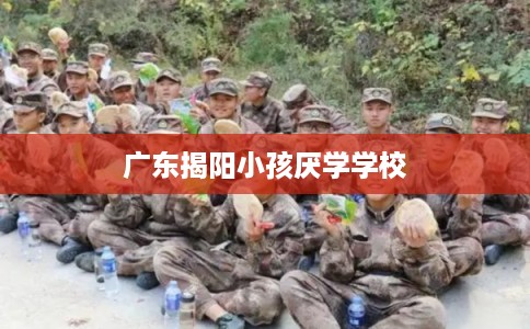 广东揭阳小孩厌学学校