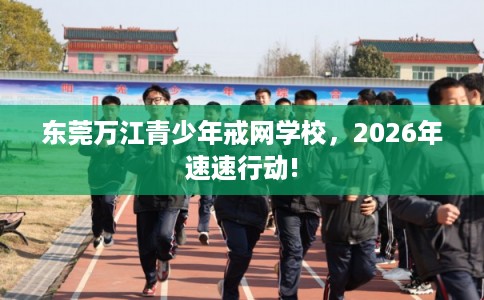 东莞万江青少年戒网学校，2026年速速行动!