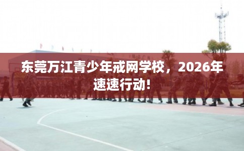 东莞万江青少年戒网学校，2026年速速行动!