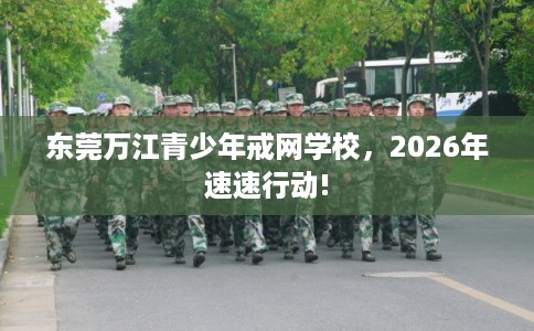 东莞万江青少年戒网学校，2026年速速行动!