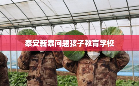 泰安新泰问题孩子教育学校