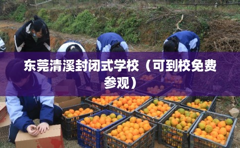 东莞清溪封闭式学校（可到校免费参观）