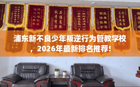 浦东新不良少年叛逆行为管教学校，2026年最新排名推荐!