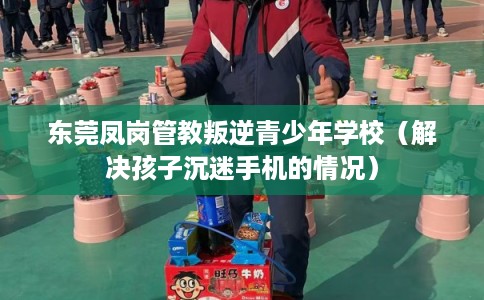 东莞凤岗管教叛逆青少年学校(解决孩子沉迷手机的情况) 东莞凤岗管教叛逆青少年学校(解决孩子沉迷手机的情况)
