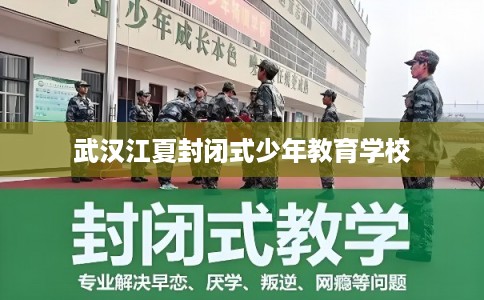 武汉江夏封闭式少年教育学校 武汉江夏封闭式少年教育学校