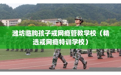 潍坊临朐孩子戒网瘾管教学校（精选戒网瘾特训学校）