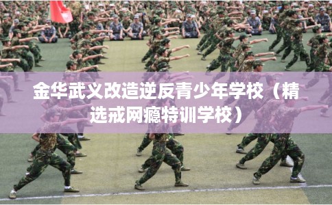 金华武义改造逆反青少年学校（精选戒网瘾特训学校）