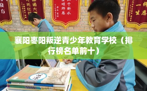 襄阳枣阳叛逆青少年教育学校(排行榜名单前十) 襄阳枣阳叛逆青少年教育学校(排行榜名单前十)