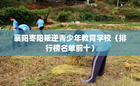 襄阳枣阳叛逆青少年教育学校(排行榜名单前十) 襄阳枣阳叛逆青少年教育学校(排行榜名单前十)