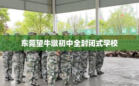 东莞望牛墩初中全封闭式学校 东莞望牛墩初中全封闭式学校