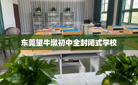 东莞望牛墩初中全封闭式学校 东莞望牛墩初中全封闭式学校