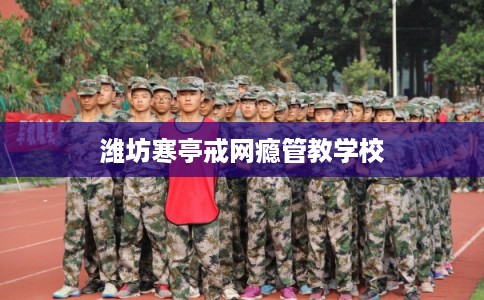 潍坊寒亭戒网瘾管教学校