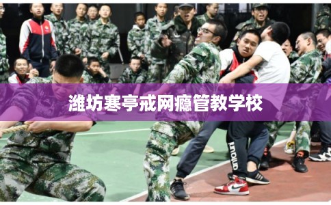 潍坊寒亭戒网瘾管教学校