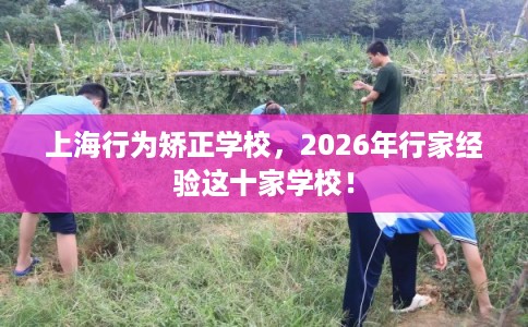 上海行为矫正学校,2026年行家经验这十家学校! 上海行为矫正学校,2026年行家经验这十家学校!