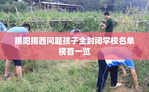 揭阳揭西问题孩子全封闭学校名单榜首一览
