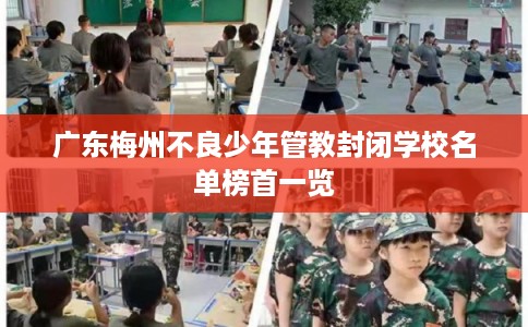 广东梅州不良少年管教封闭学校名单榜首一览
