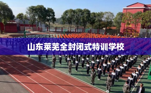 山东莱芜全封闭式特训学校