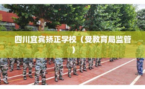 四川宜宾矫正学校（受教育局监管）