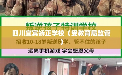 四川宜宾矫正学校（受教育局监管）