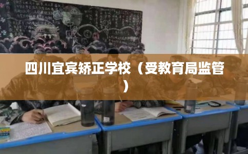 四川宜宾矫正学校（受教育局监管）