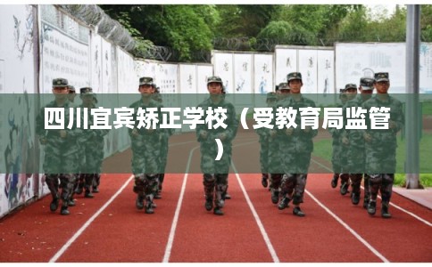 四川宜宾矫正学校（受教育局监管）
