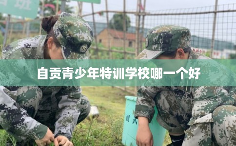 自贡青少年特训学校哪一个好