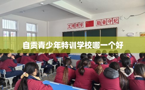 自贡青少年特训学校哪一个好