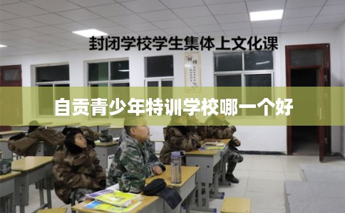 自贡青少年特训学校哪一个好