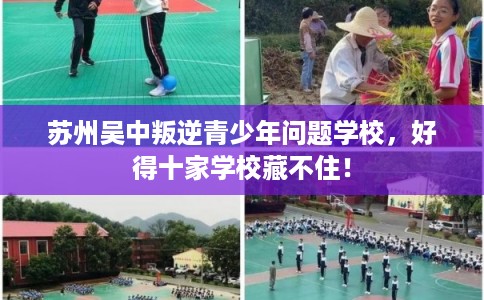 苏州吴中叛逆青少年问题学校，好得十家学校藏不住！