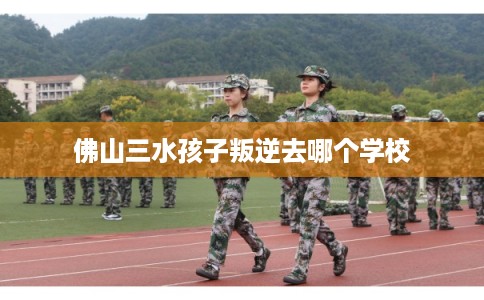 佛山三水孩子叛逆去哪个学校