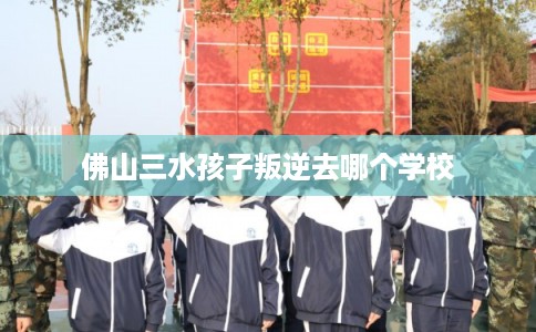 佛山三水孩子叛逆去哪个学校