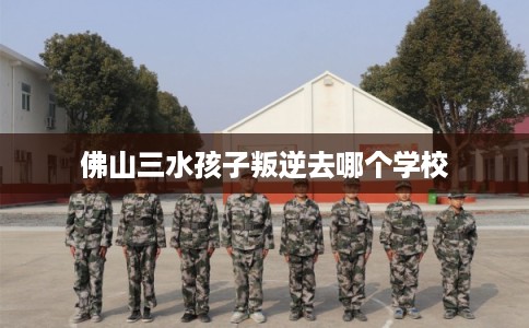 佛山三水孩子叛逆去哪个学校