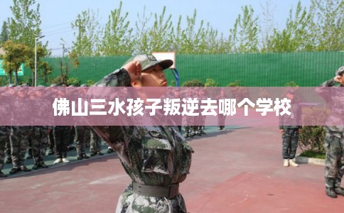 佛山三水孩子叛逆去哪个学校