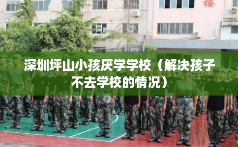 深圳坪山小孩厌学学校(解决孩子不去学校的情况) 深圳坪山小孩厌学学校(解决孩子不去学校的情况)