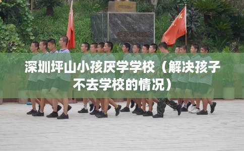 深圳坪山小孩厌学学校(解决孩子不去学校的情况) 深圳坪山小孩厌学学校(解决孩子不去学校的情况)