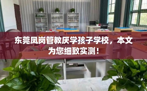 东莞凤岗管教厌学孩子学校,本文为您细致实测! 东莞凤岗管教厌学孩子学校,本文为您细致实测!