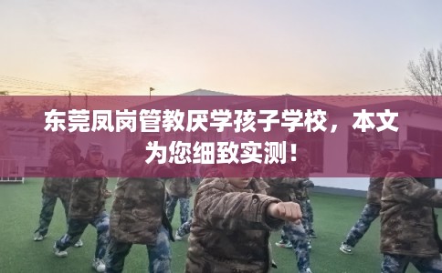 东莞凤岗管教厌学孩子学校,本文为您细致实测! 东莞凤岗管教厌学孩子学校,本文为您细致实测!