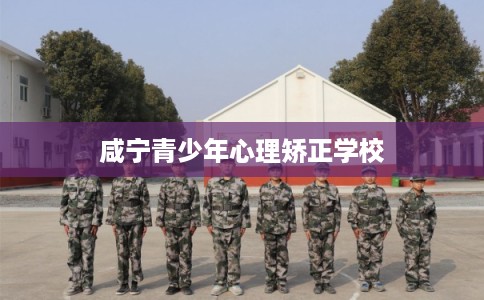 咸宁青少年心理矫正学校 咸宁青少年心理矫正学校