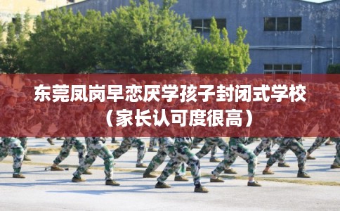 东莞凤岗早恋厌学孩子封闭式学校(家长认可度很高) 东莞凤岗早恋厌学孩子封闭式学校(家长认可度很高)