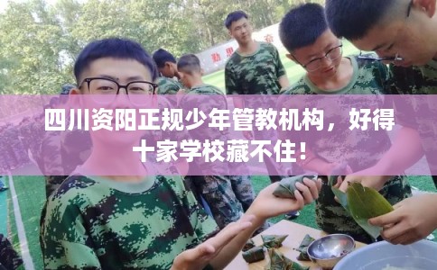 四川资阳正规少年管教机构,好得十家学校藏不住! 四川资阳正规少年管教机构,好得十家学校藏不住!