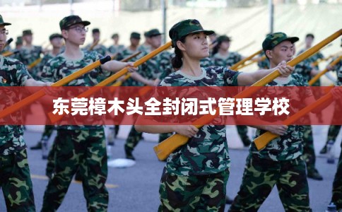 东莞樟木头全封闭式管理学校