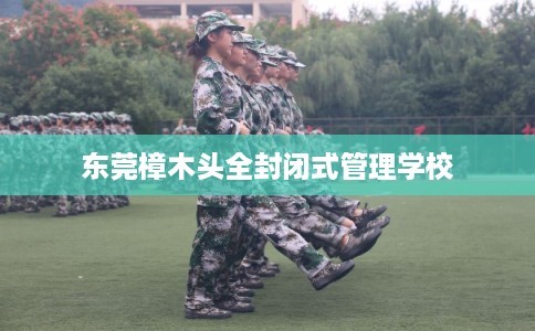 东莞樟木头全封闭式管理学校